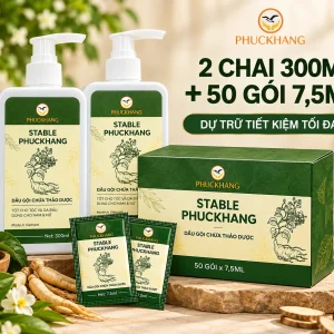 Combo dự trữ lớn dầu gội dược liệu Stable Phuckhang 2 chai 300ml và 50 gói 7.5ml